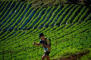 BIB: 
                            <button type="button" onclick="openModal(19160847)" class="btn btn-primary btn-sm float-right btn-popup" data-toggle="modal" data-target=".modal-high-quality">
                        <i class="fas fa-shopping-cart"></i> Add to Cart
                    </button>
                                            <button type="button" onclick="isThisMe(19160847, true)" class="btn btn-success btn-sm float-right btn-popup btn-isme hidden" data-toggle="tooltip" data-placement="bottom" title="นี่คือรูปของคุณใช่ไหม คลิกที่นี่เพื่อเอาเข้าอัลบั้ม">
                        <i class="fas fa-plus"></i> Add to album
                    </button>
                    <button type="button" onclick="isThisMe(19160847, false)" class="btn btn-warning btn-sm float-right btn-popup btn-isnotme hidden">
                        <i class="fas fa-ban"></i> Remove from album
                    </button>